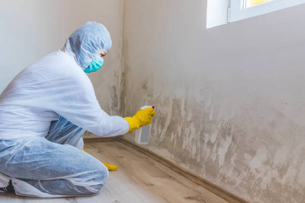 Bathroom Mold Removal assessment in Lewistown bathroom
