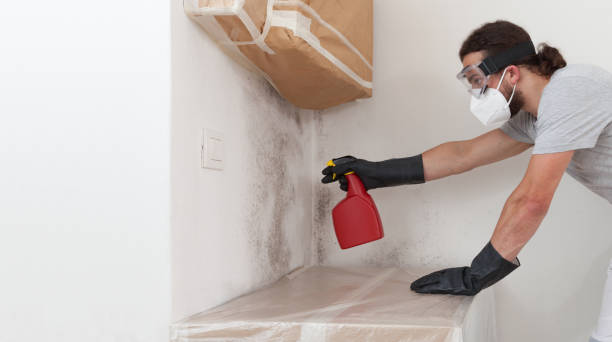 Attic Mold Remediation treatment on roof deck in Lewistown