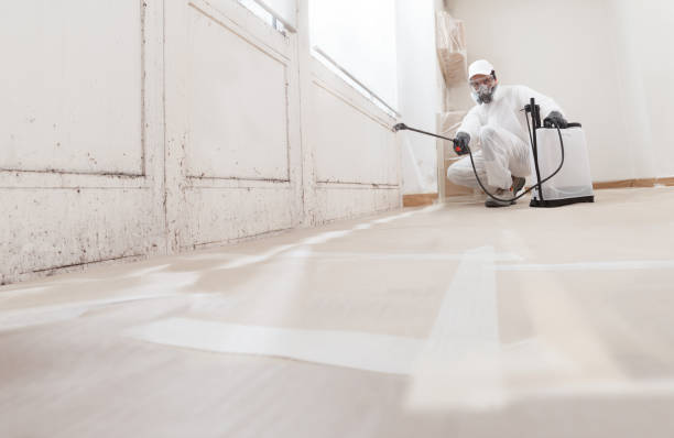 Black mold remediation team in Lewistown
