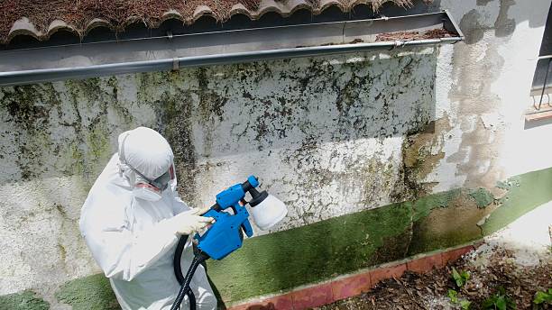 Mold Removal service in Lewistown